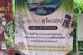 ประชุมคณะกรรมการตรวจสอบและประเมินผลประจำกระทรวง ครั้งที่ 9/2 ... พารามิเตอร์รูปภาพ 6